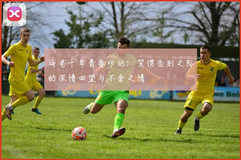 海港十年青春印记：贺惯告别之际的深情回望与不舍之情