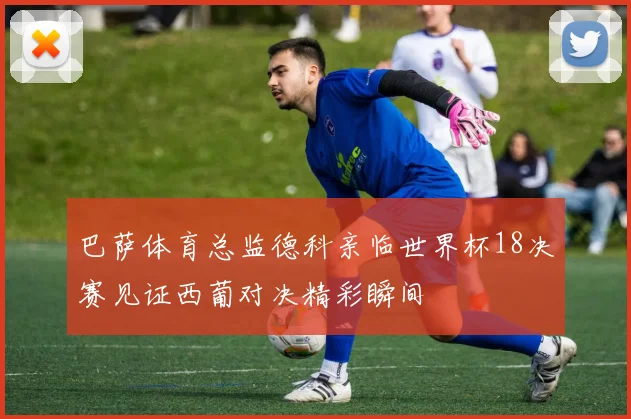 巴萨体育总监德科亲临世界杯18决赛见证西葡对决精彩瞬间