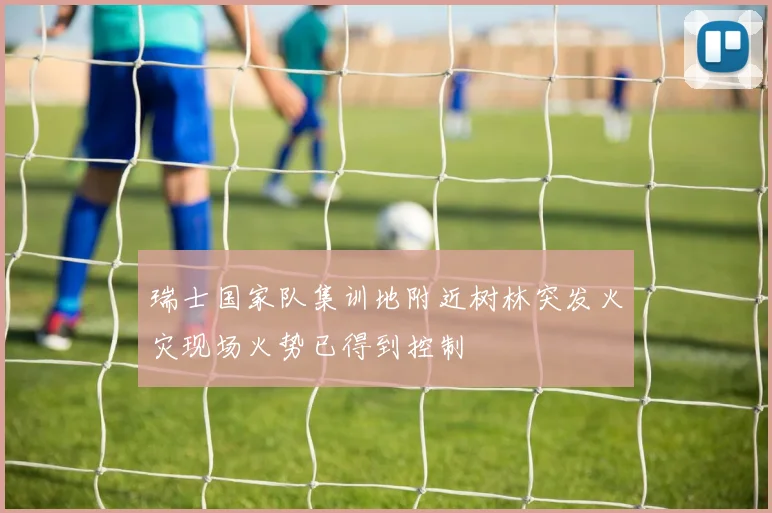 瑞士国家队集训地附近树林突发火灾现场火势已得到控制
